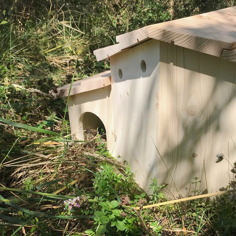 Cabanes à hérissons