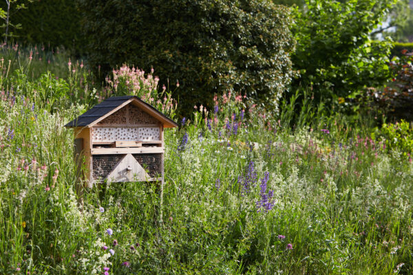 Hôtel à insectes *** – Image 3