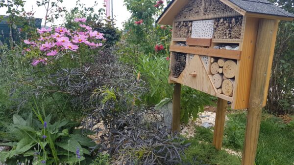 Hôtel à insectes *** – Image 5