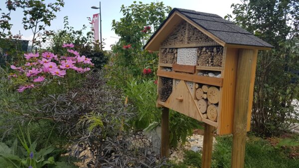 Hôtel à insectes *** – Image 6
