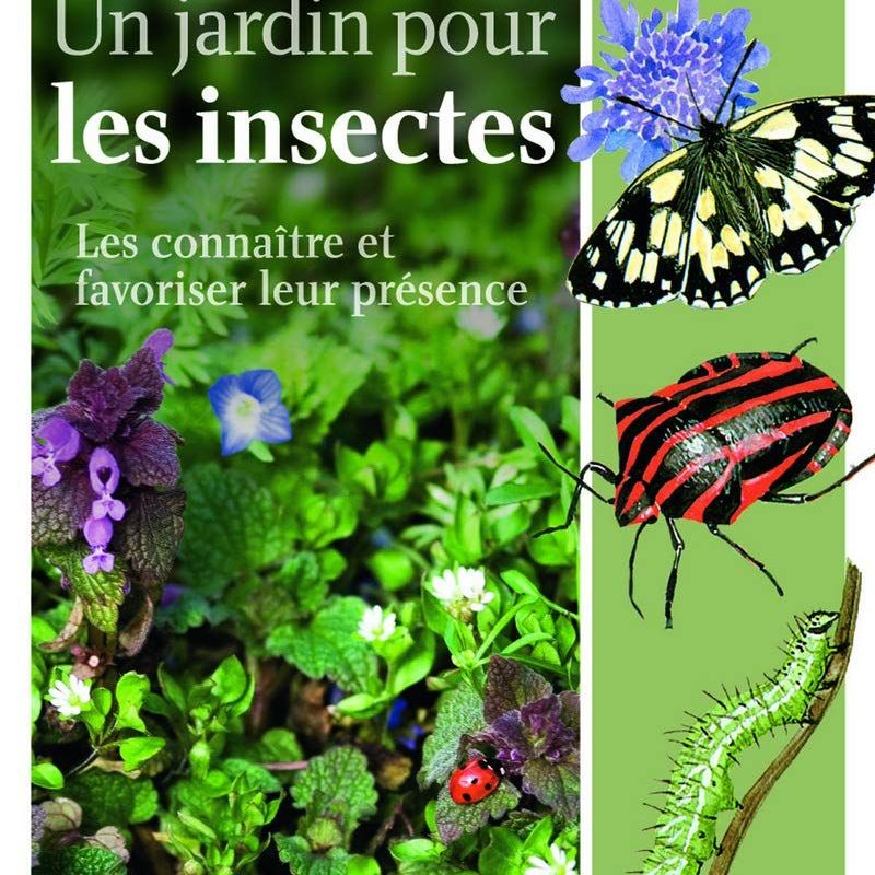 Un jardin pour les insectes