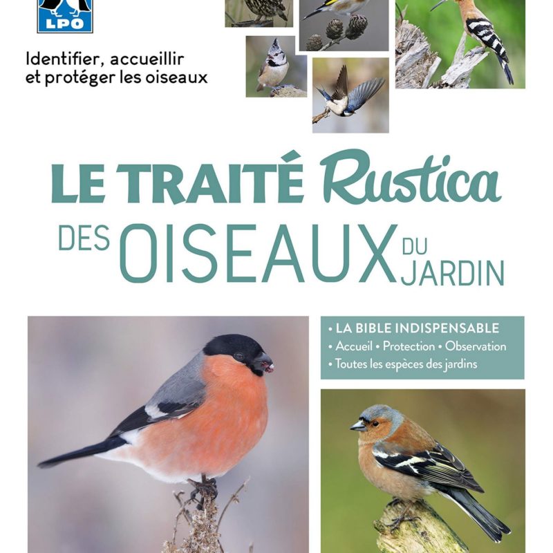 Le traité Rustica des oiseaux du jardin
