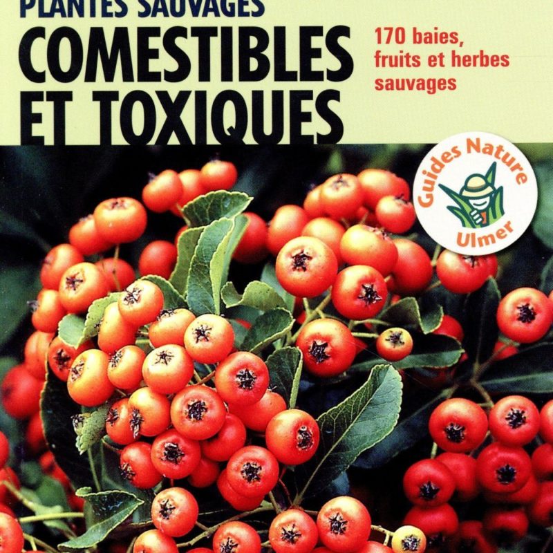 Plantes sauvages comestibles et toxiques