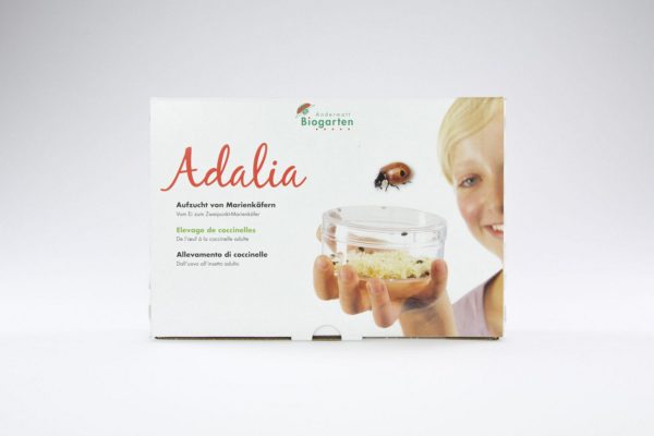Adalia - Set d'élevage de coccinelles