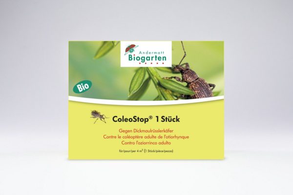 ColeoStop, nématodes contre l'otiorhynque adulte