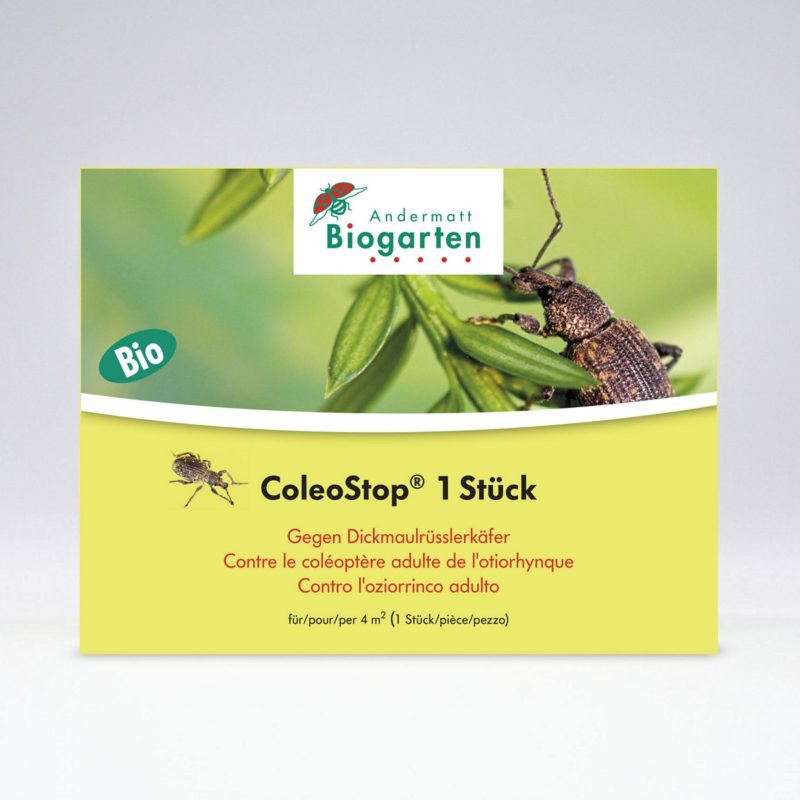 ColeoStop, nématodes contre l'otiorhynque adulte
