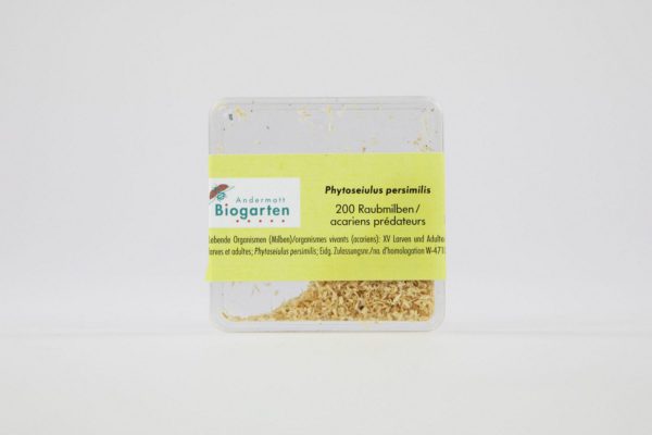 Phytoseiulus acariens prédateurs contre les acariens tétranyques (araignée rouge)