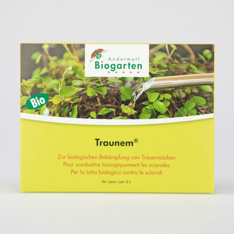 Traunem® nématodes contre les larves de sciarides (ou mouches du terreau)