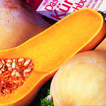 Courge Butternut - BIO