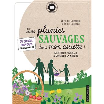 Des plantes sauvages dans mon assiette!
