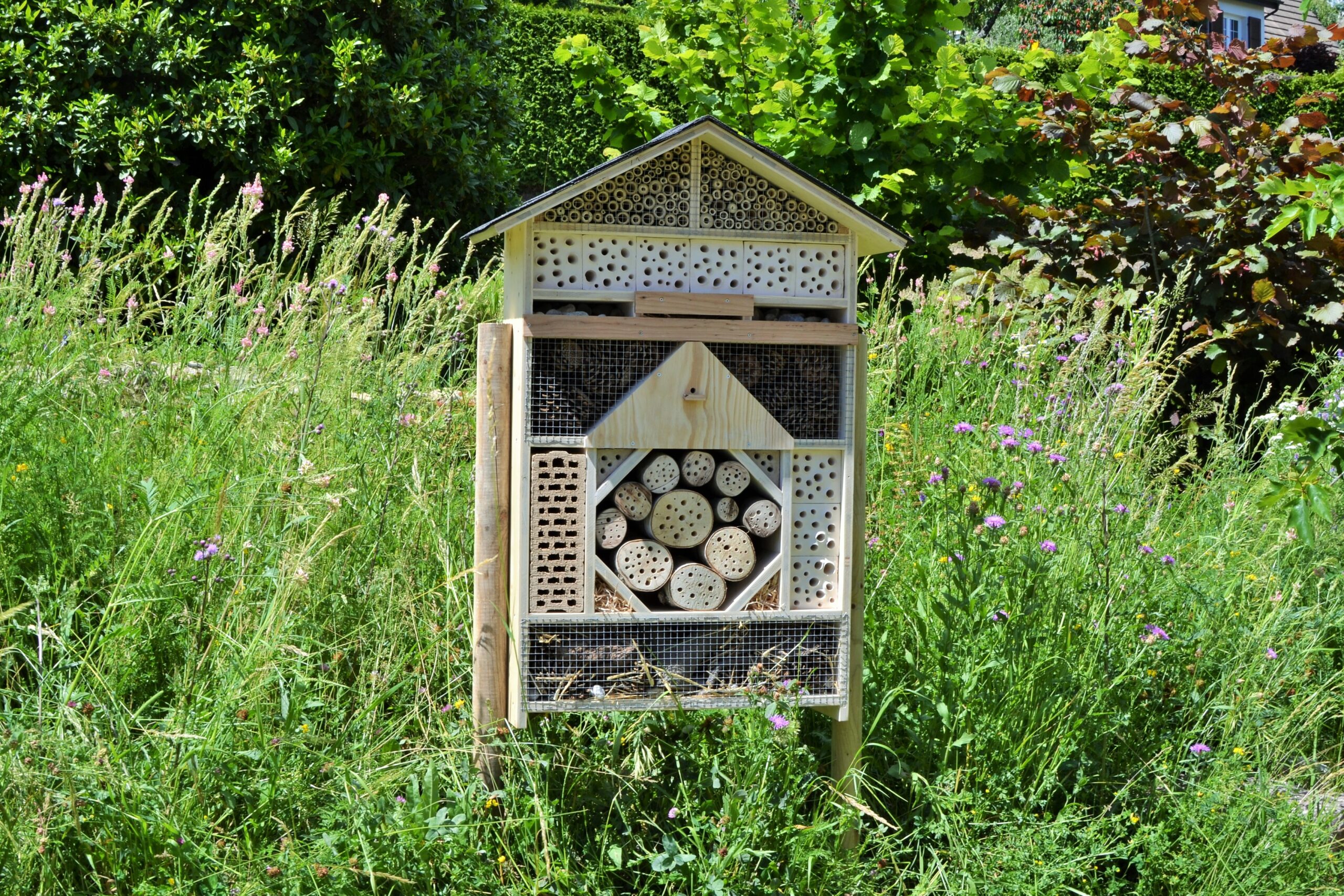 Hôtel à insectes 4 étoiles ⭐⭐⭐⭐ – Jardin familial & collectif – Image 2