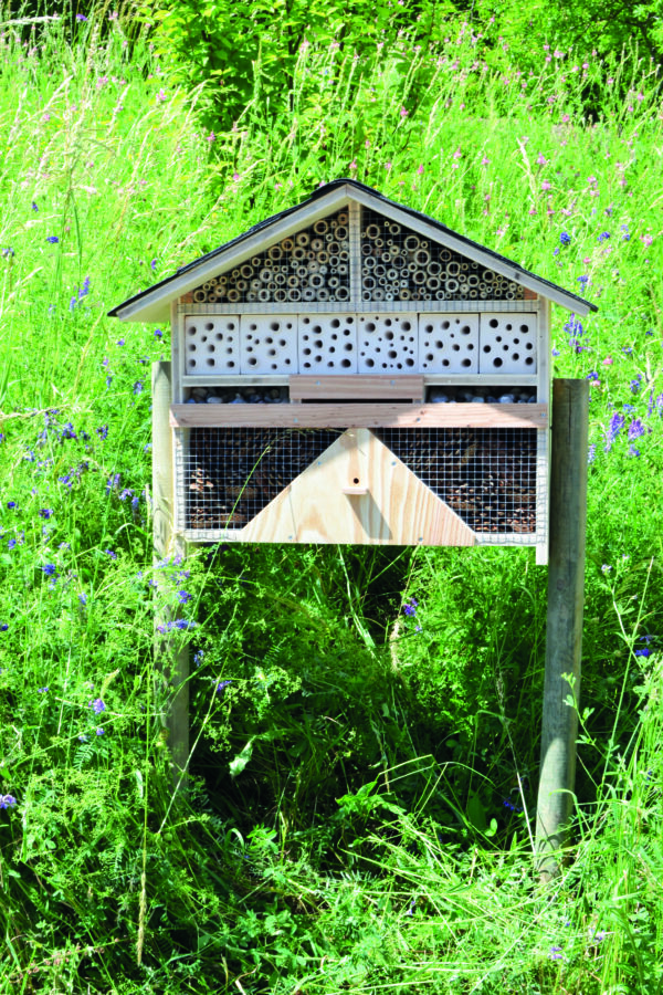 Hôtel à insectes *** – Image 8