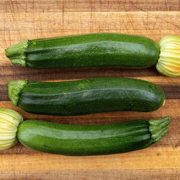 Grey Zucchini - Courgettes - Sélection Z - BIO
