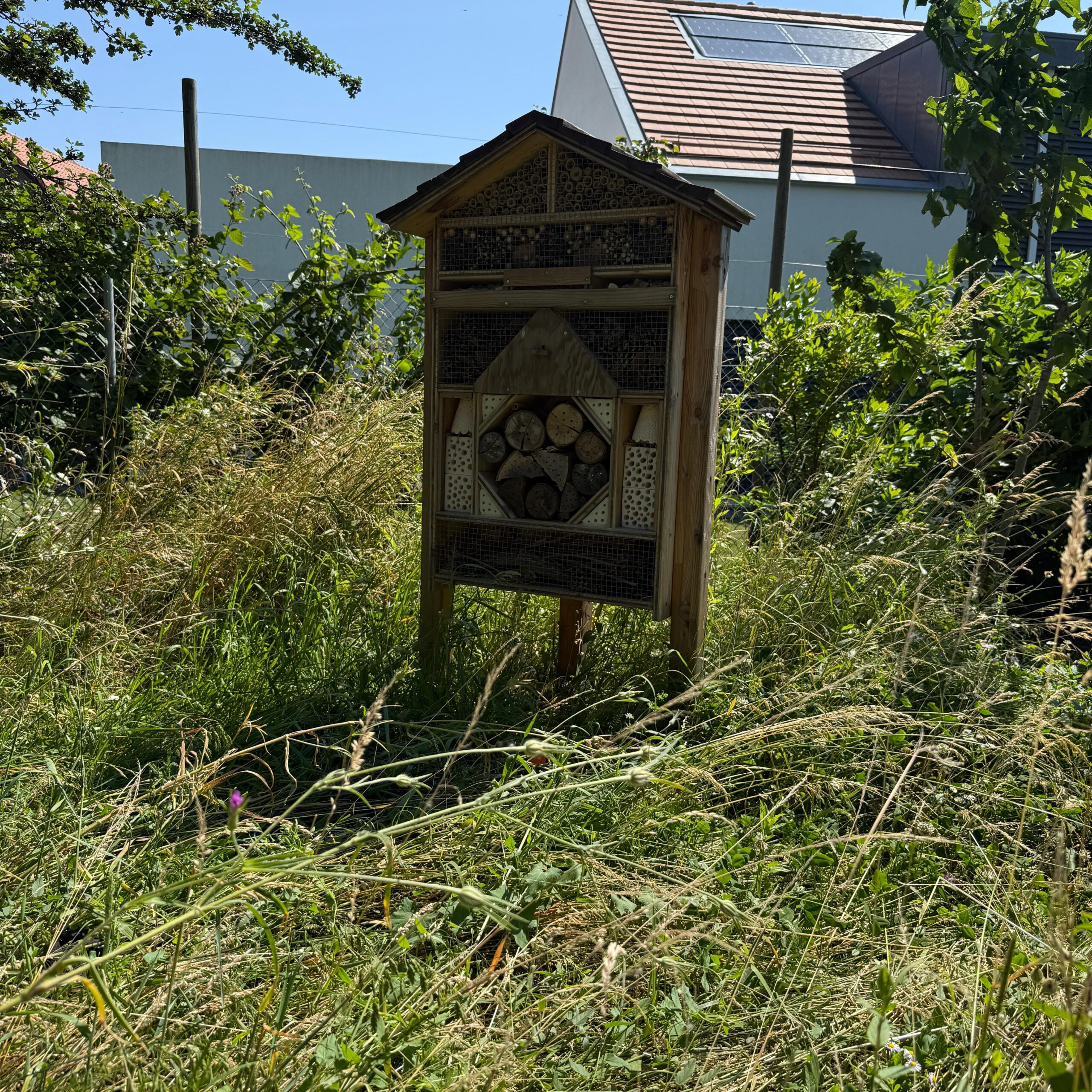 Hôtel à insectes 4 étoiles ⭐⭐⭐⭐ – Jardin familial & collectif – Image 26