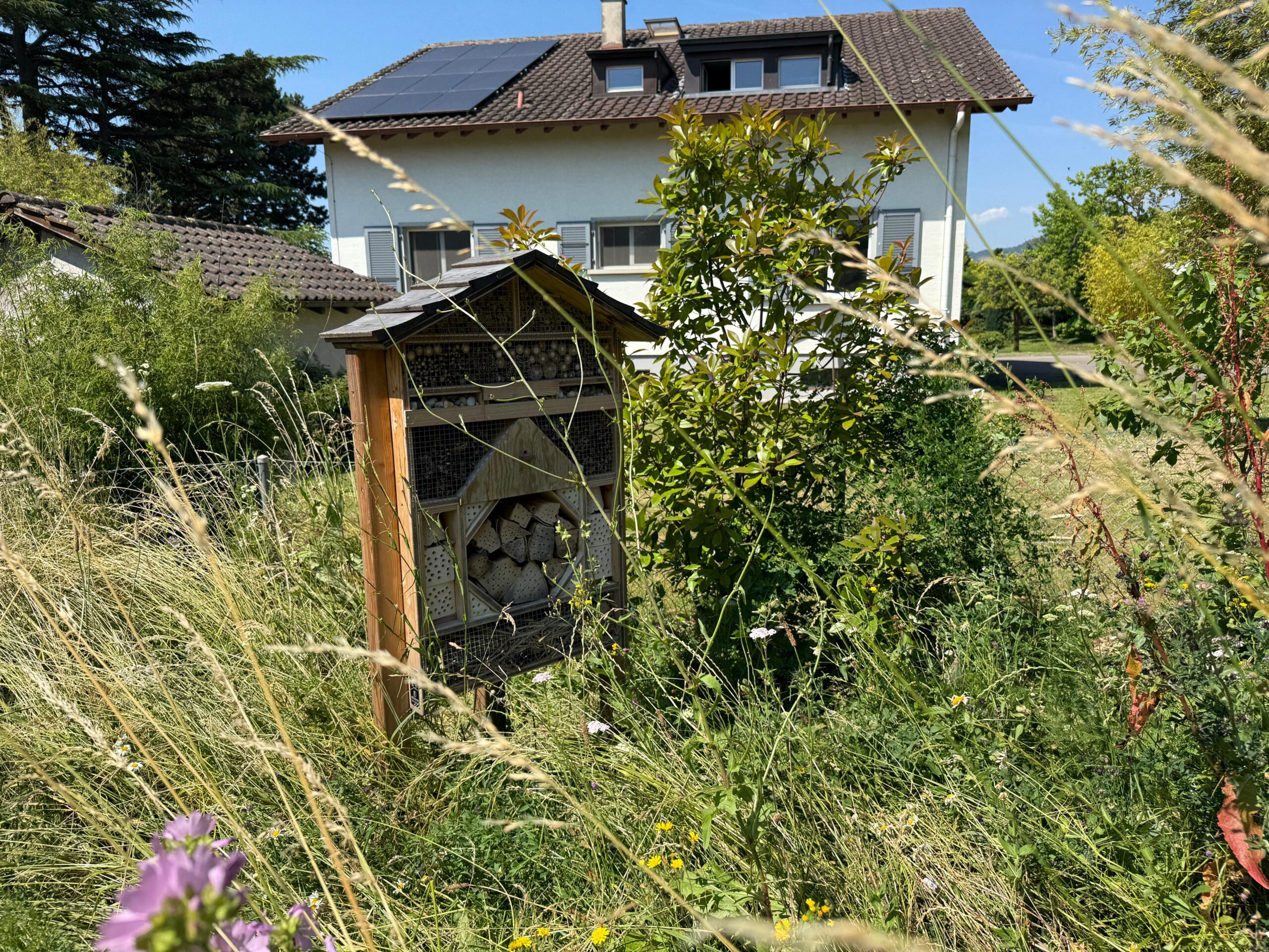 Hôtel à insectes 4 étoiles ⭐⭐⭐⭐ – Jardin familial & collectif – Image 27