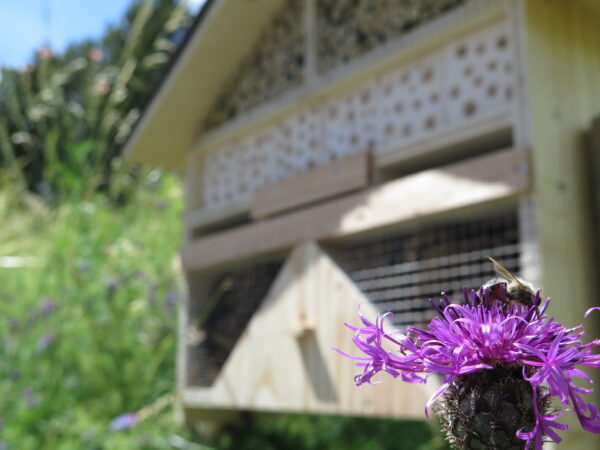 Hôtel à insectes *** – Image 12