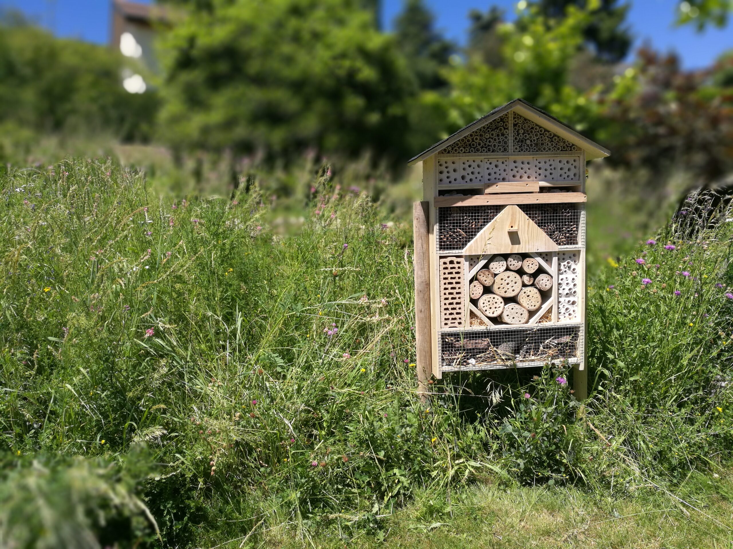 Hôtel à insectes 4 étoiles ⭐⭐⭐⭐ – Jardin familial & collectif – Image 20