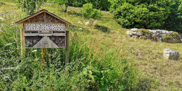 Hôtel à insectes *** – Image 16