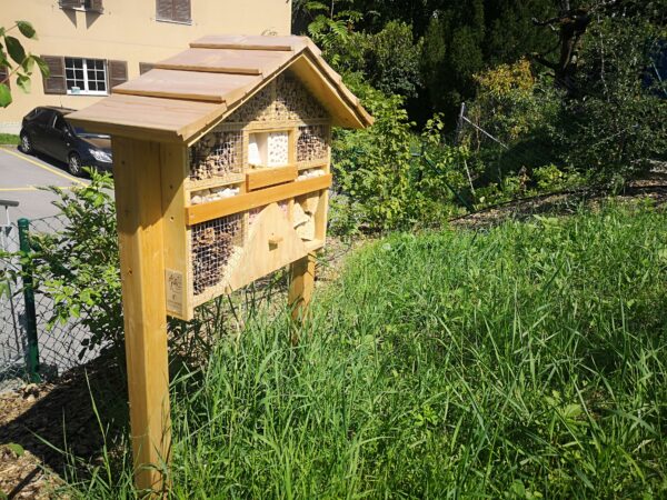 Hôtel à insectes *** – Image 17