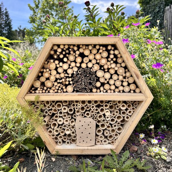 Hôtel à insectes en alvéoles – Refuge pour la biodiversité et projet solidaire – Image 2