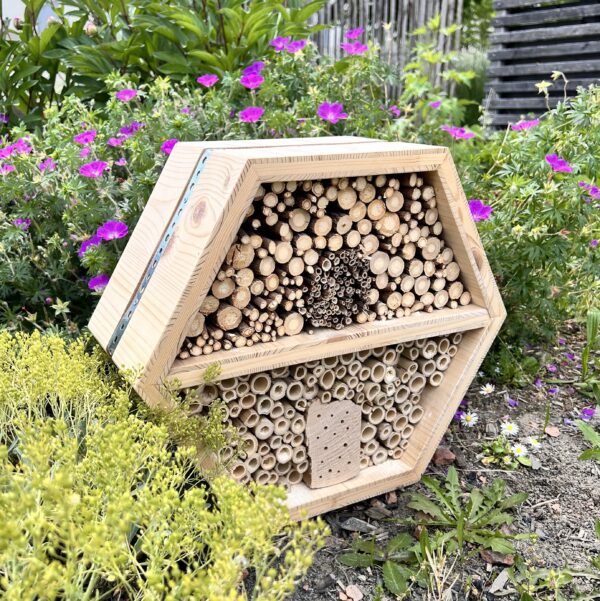 Hôtel à insectes en alvéoles – Refuge pour la biodiversité et projet solidaire – Image 6
