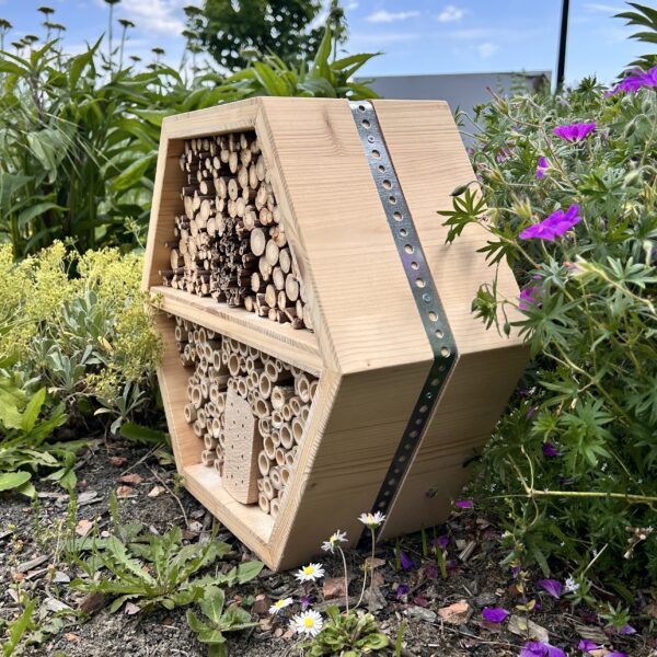 Hôtel à insectes en alvéoles – Refuge pour la biodiversité et projet solidaire – Image 7