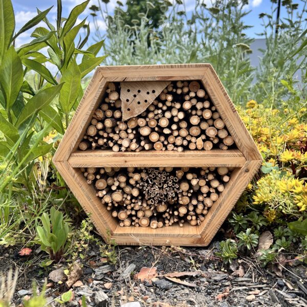 Hôtel à insectes en alvéoles – Refuge pour la biodiversité et projet solidaire – Image 8