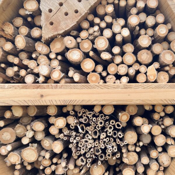 Hôtel à insectes en alvéoles – Refuge pour la biodiversité et projet solidaire – Image 9