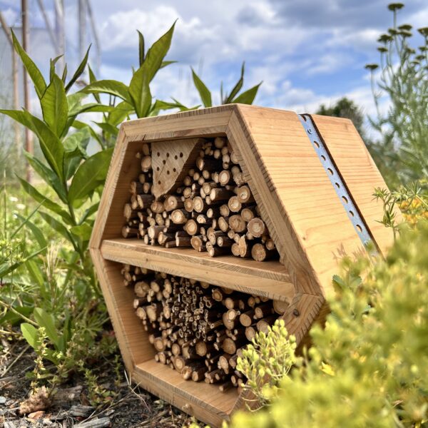 Hôtel à insectes en alvéoles – Refuge pour la biodiversité et projet solidaire – Image 10