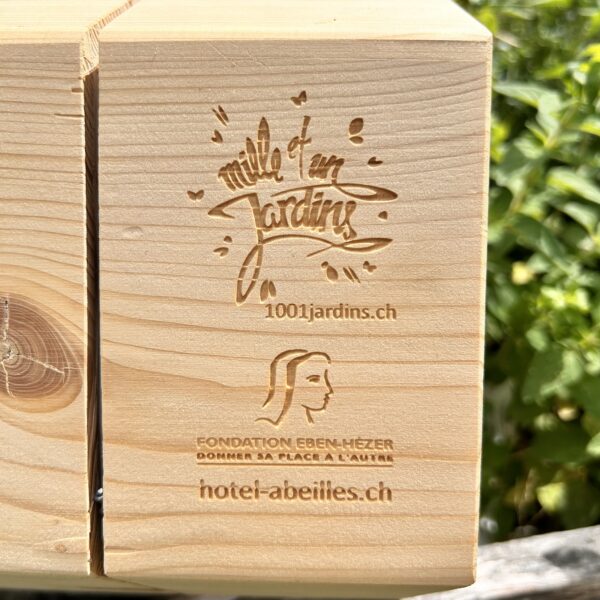 Hôtel à insectes en alvéoles – Refuge pour la biodiversité et projet solidaire – Image 4