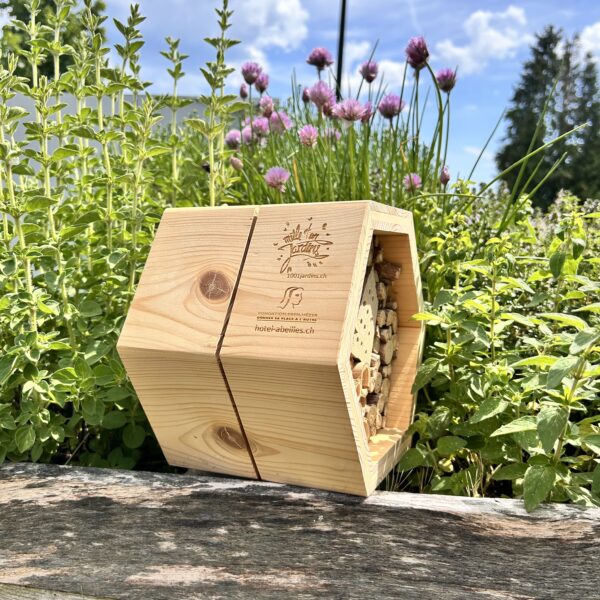 Hôtel à insectes en alvéoles – Refuge pour la biodiversité et projet solidaire – Image 12