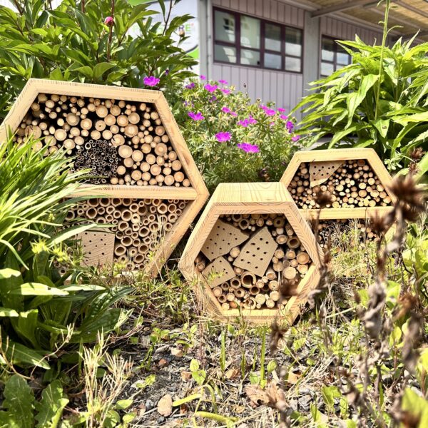 Hôtel à insectes en alvéoles – Refuge pour la biodiversité et projet solidaire – Image 3