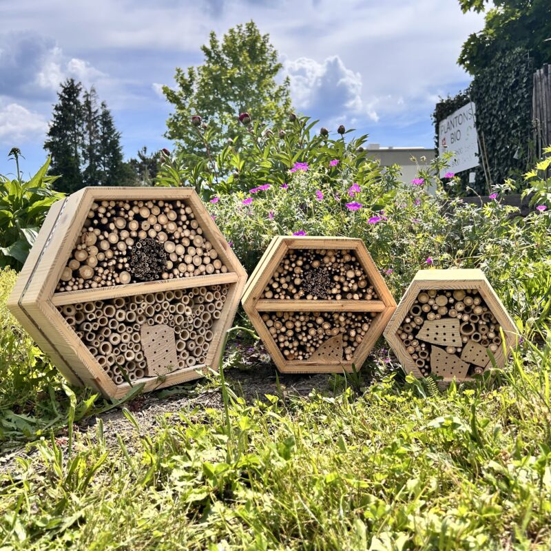 Hôtel à insectes en alvéoles – Refuge pour la biodiversité et projet solidaire