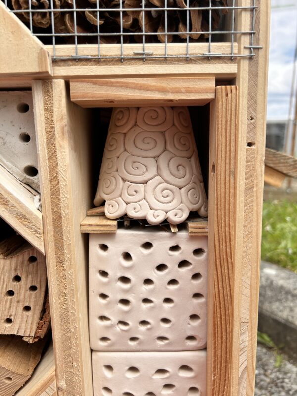 Hôtel à insectes *** – Image 14