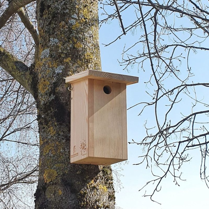 Nichoirs pour oiseaux