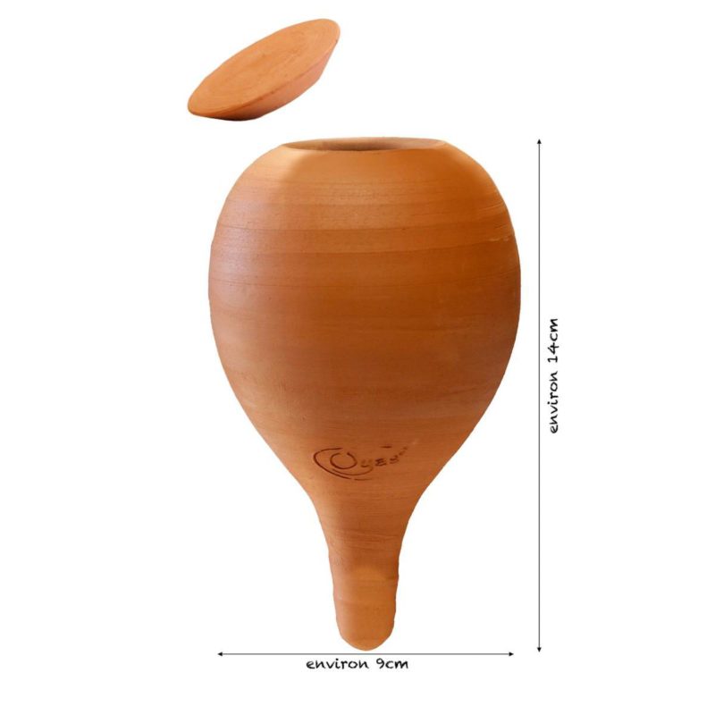 Oyas® 0.3L naturelle à planter