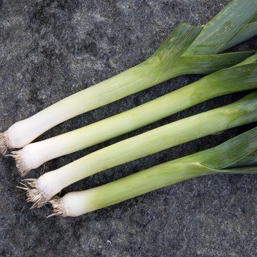 Bleu de Solaise - Poireau - BIO