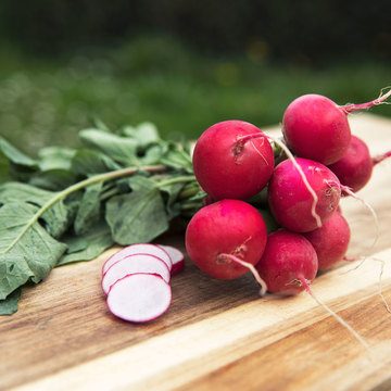 Cherry Belle - Radis - BIO