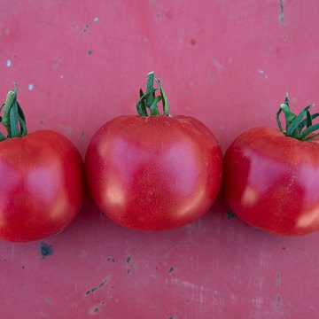 Rose de Berne - Tomates - Sélection Z - BIO