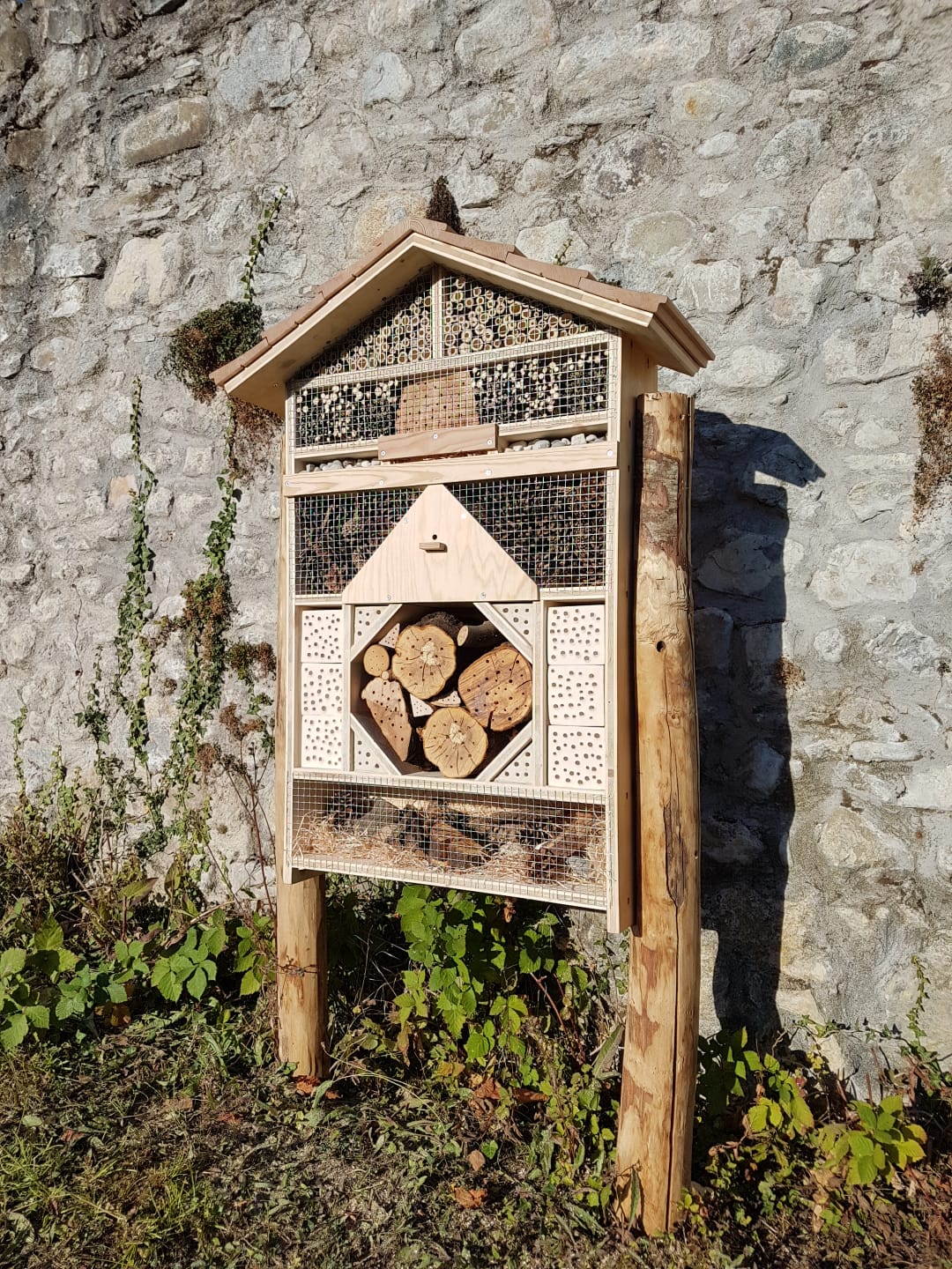 Hôtel à insectes 4 étoiles ⭐⭐⭐⭐ – Jardin familial & collectif – Image 28