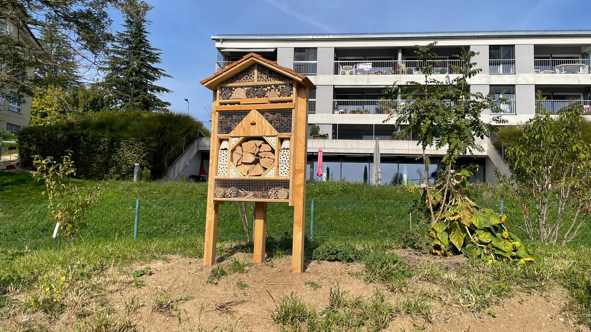 Hôtel à insectes 4 étoiles ⭐⭐⭐⭐ – Jardin familial & collectif – Image 29