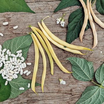 Haricots nains - Beurré jaune - BIO