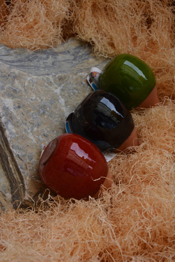 Coffret Oyas à planter