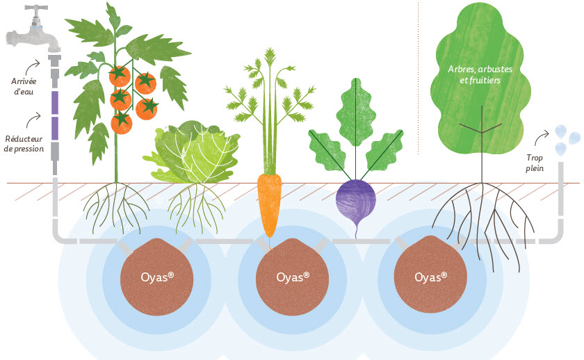 Guirlande-Oyas® M – Image 2