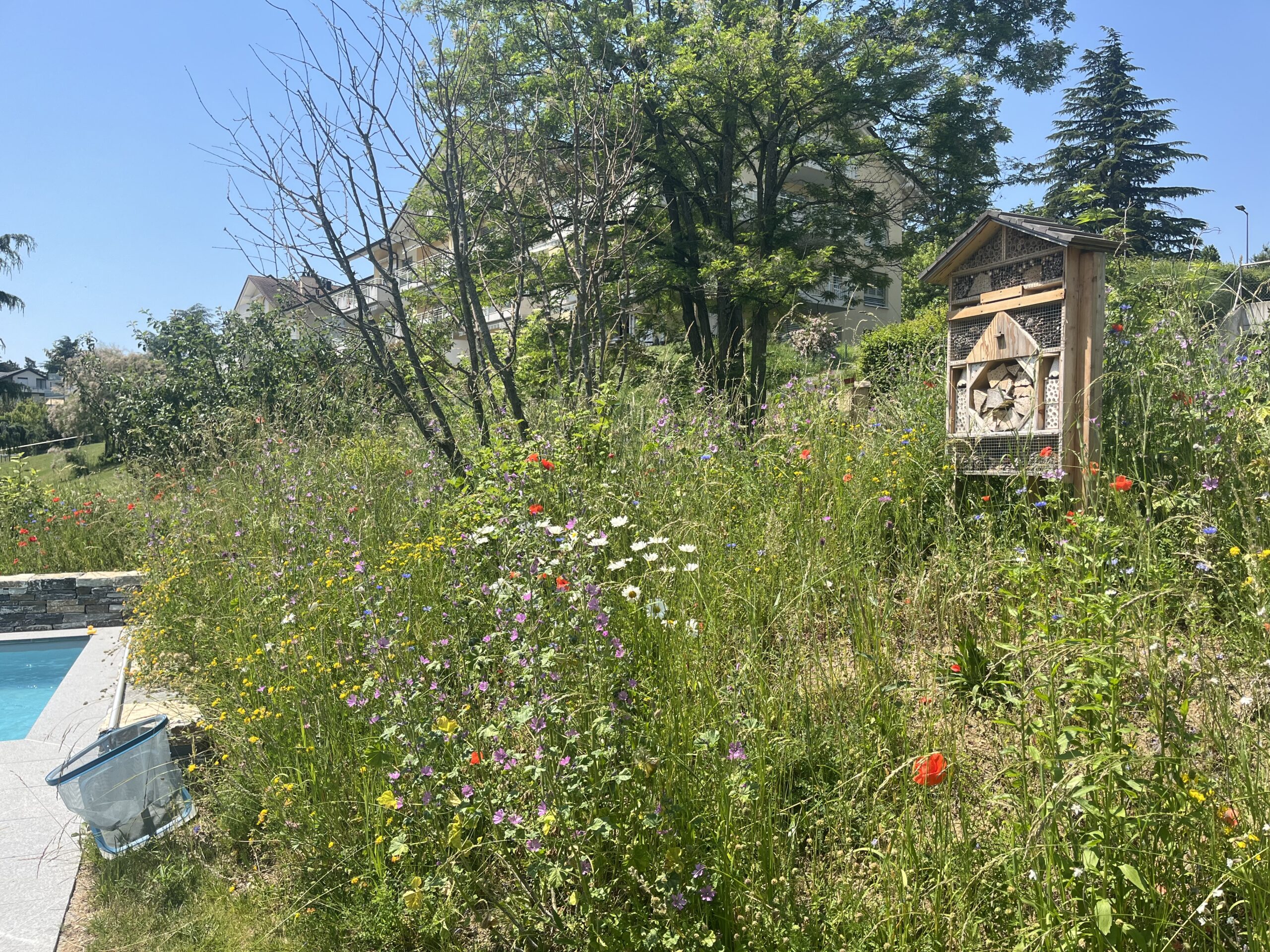Hôtel à insectes 4 étoiles ⭐⭐⭐⭐ – Jardin familial & collectif – Image 6