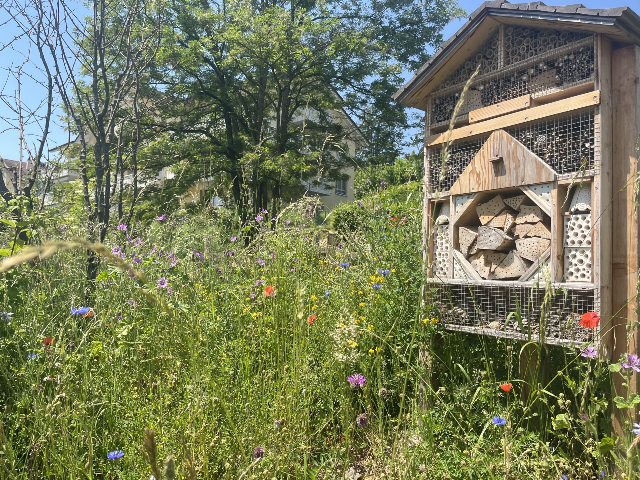 Hôtel à insectes 4 étoiles ⭐⭐⭐⭐ – Jardin familial & collectif – Image 8
