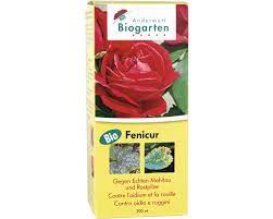 Fenicur 200ml | 6ml