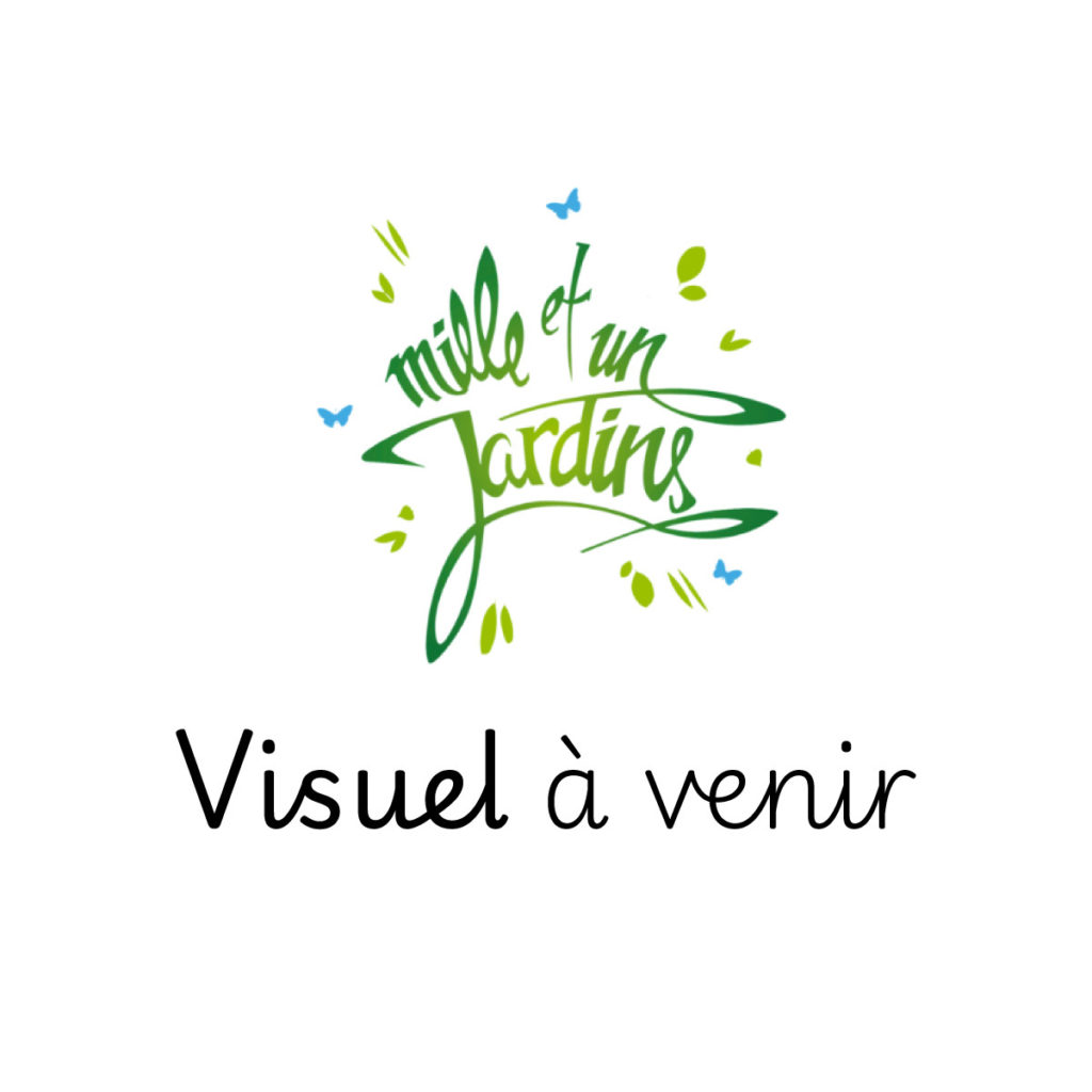 visuel pour produit sans image