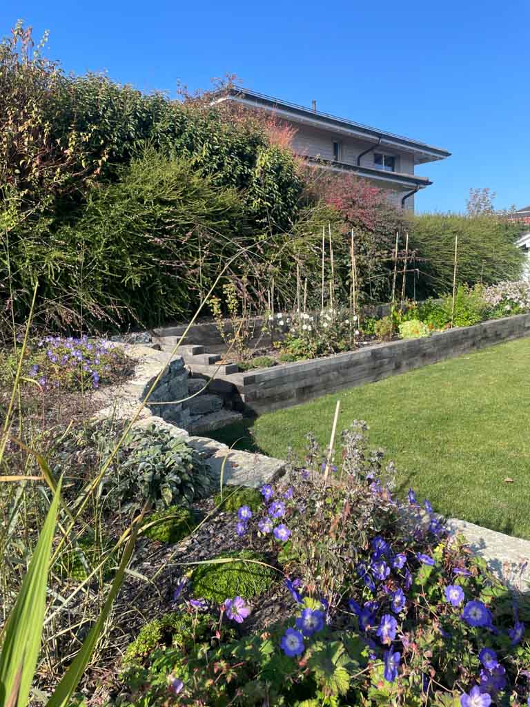 Jardin
