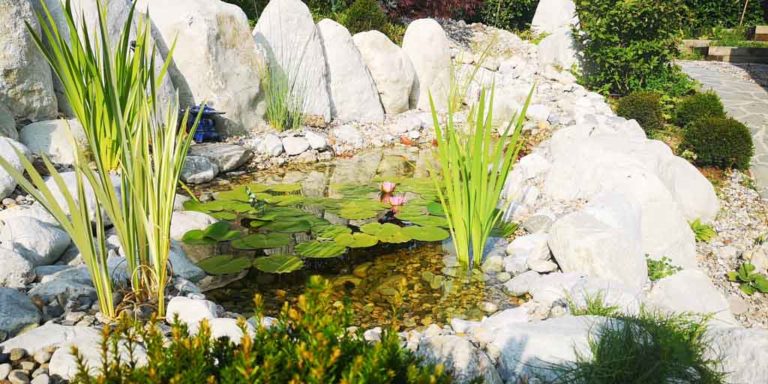 Etang